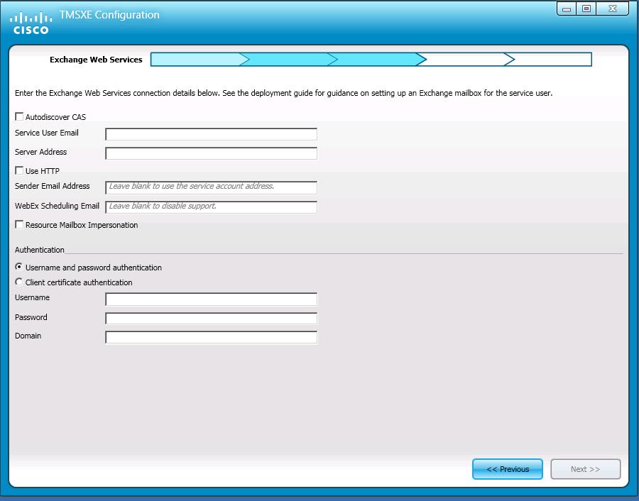 4. At the Exchange Web Services step, you may choose to configure new settings, such as: Autodiscover CAS.