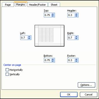Do Page Margins 1. Click on the Margins tab of the Page Setup dialog. 2. The Margins dialog is illustrated at the right. 3. Notice the margin settings. The top and bottom margins are set at 0.