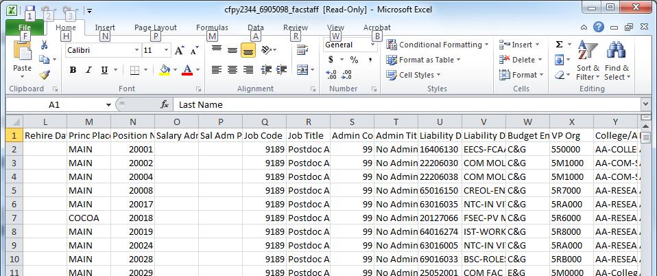 The report will open in Excel. NOTE: For easy reference, below is the list of field names in the order they appear in the spreadsheet.