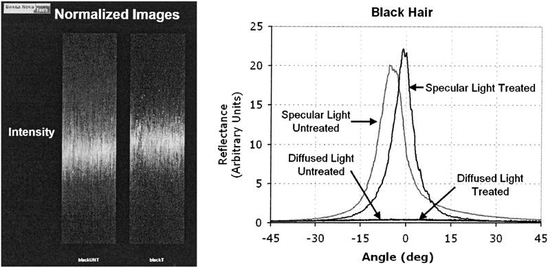 166 JOURNAL OF COSMETIC SCIENCE Figure 14. Images and profi les of untreated and treated black hair.