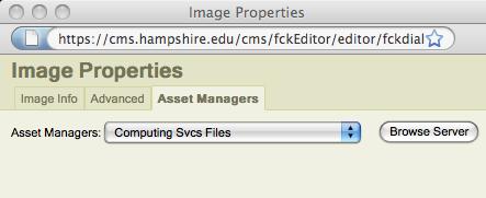 Adding Images 1. Click the Insert Image button. The Asset Manager 2. In the Image Properties screen, click Browse Server. 1 3 4 2 3. You may have to choose a folder.