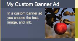 Banner Ad Types Custom Banner Ad 3. Choose create and connect.