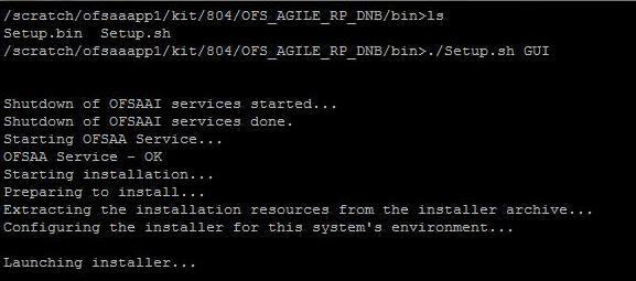 3 Oracle Financial Services Regulatory Reporting for De Nederlandsche Bank The OFS_AGILE_RP_DNB installer can be installed in both GUI and silent mode.