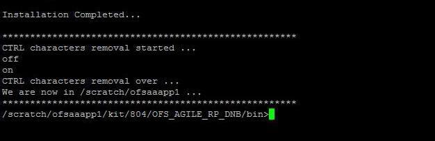 13. Refer to the log file created in the path /OFS_AGILE_RP_DNB/logs of installer directory