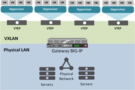 VLANs, VLAN Groups, and VXLAN Mode Transparent Translucent Opaque Purpose The MAC addresses of remote systems are exposed in Layer 2 traffic forwarding.