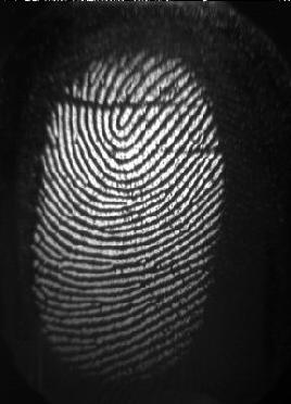 4.3. Good Image vs Bad Image A good fingerprint image is one in which the core of the fingerprint is well-defined and easily recognizable.