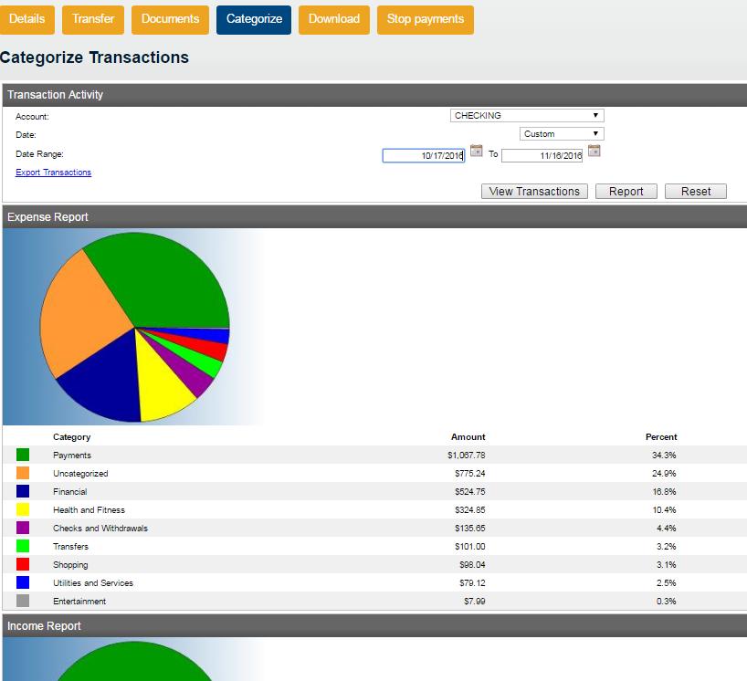 20. Access Spending Report from Account Navigation Activity Manager Clients Only Categorize on the account navigation