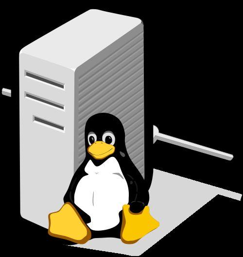 Advanced Linux Commands & Shell