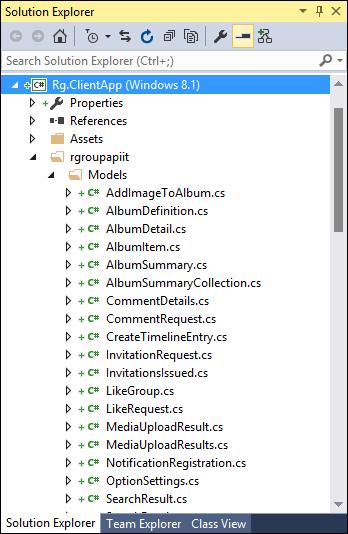 Visual Studio downloads the metadata for the API and generates a set of types to enable you to use the API.