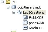 because this feature class is stored within a feature dataset. Click Next, and it displays the fields and field properties for the data table for the layer.
