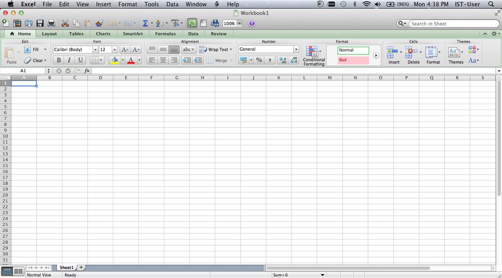 Starting Excel 1. Click on the Microsoft Excel icon located on the Dock. 2. The Microsoft Excel application will open.