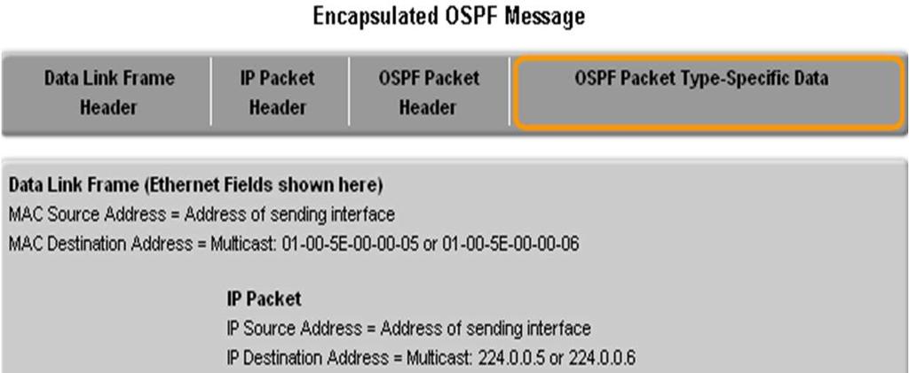 OSPF packet OSPF Message Encapsulation o OSPF packet type There exist 5 types o OSPF packet header Contains - Router ID and area ID and Type code for