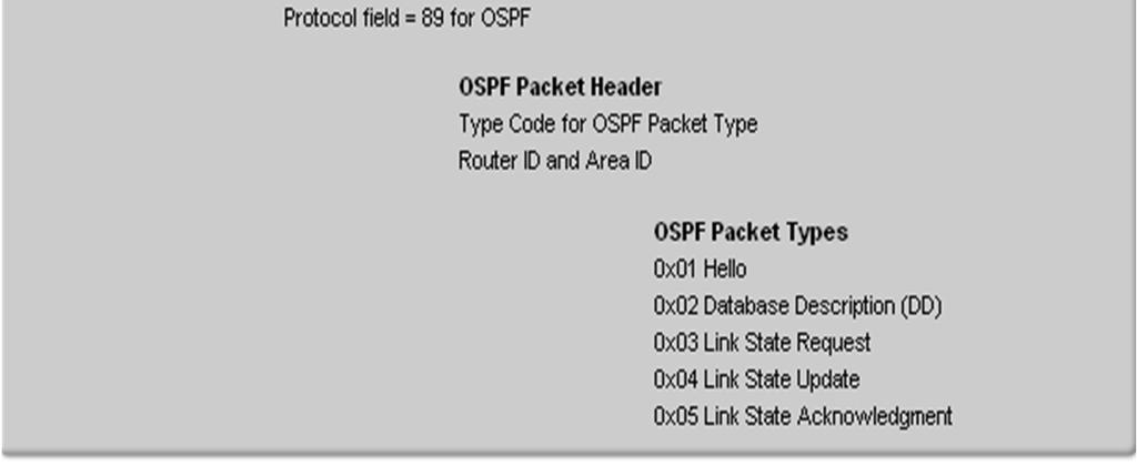 Contains - Source MAC address and Destination MAC address 102 OSPF Packet Types 1.