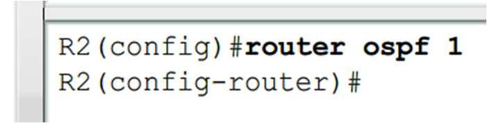 following command R1(config)#router ospf process-id Process id A locally significant number between 1