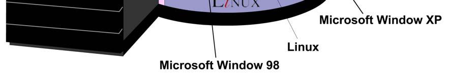 on same the computer. For example, you might reserve one partition for Windows XP and another for LINUX operating system.