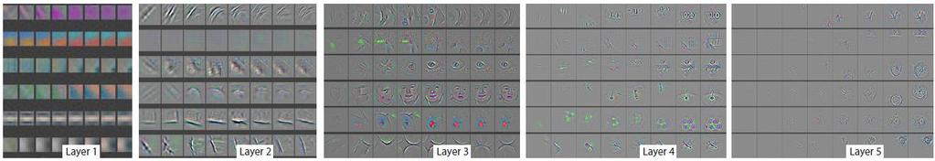 Feature evolution during training Lower layers