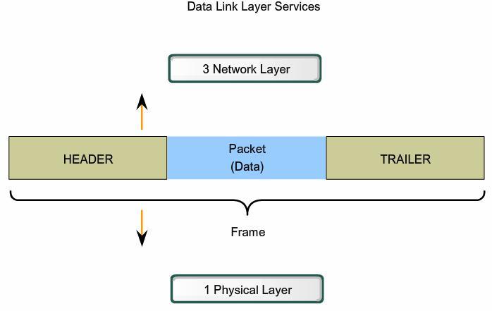 Data Link Layer Creating a Frame The Data Link layer prepares a packet for transport across the local media by encapsulating it with a header and a trailer to create a frame Data Link layer frame: