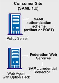 SAML 1.x Authentication Schemes SAML 1.x Authentication Schemes A consumer is a site that uses a SAML 1.x assertion to authenticate a user. Note: A site can be a SAML producer and a SAML consumer.