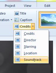 If you click the Expand arrow head next to the Credits button a drop down list will appear. From that list you can select the individual Credit segments.