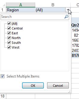 Filtering or Sorting Data in a Pivot Table The Region field has been placed in the Report Filter zone.