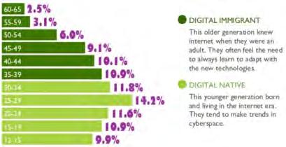 2013 Demographics by Age
