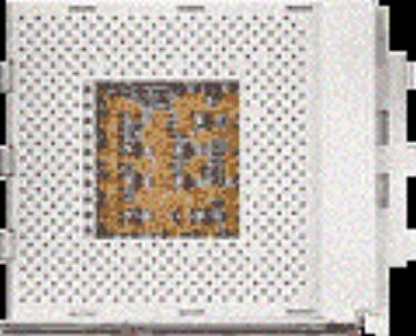 Central Processing Unit CPU or Processor for short. The brain of a computer.