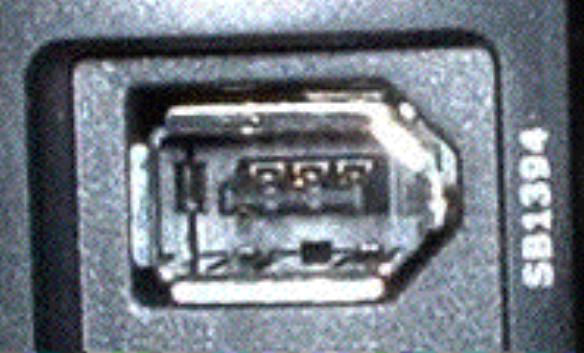 PS/2 Port - sometimes called a mouse port, was developed by IBM.