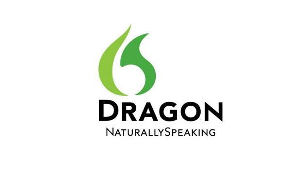 Dragon Naturally Speaking and TARGIT