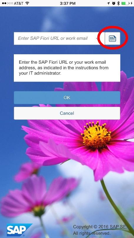 For SAP Fiori URL click on the QR code icon