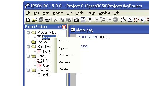 5. The EPSON RC+ 5.0 GUI 5.2 Project Explorer Pane The Project Explorer pane enables you to quickly open any file in the current project or jump to any function.