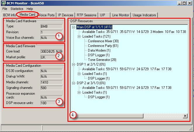 Configuration: The IP Configuration section contains basic information about IP parameters of the monitored BCM system.