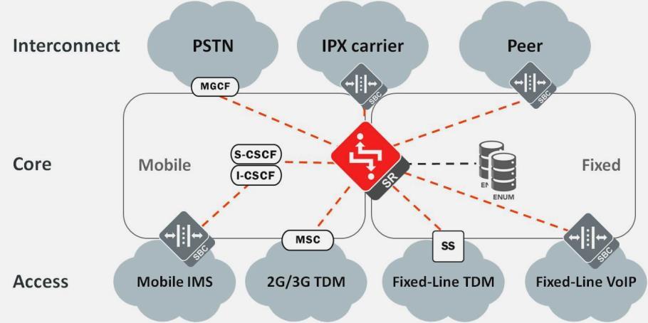 External network selection Public Switched Telephone Network (PSTN) and IP interconnects Routing services least cost routing (LCR), number portability, and calling name (CNAM) delivery Wholesale / IP