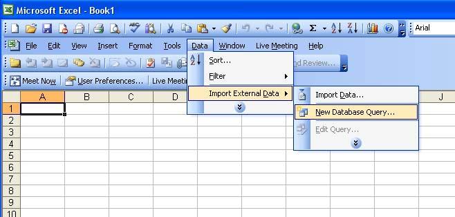 Figure 37. Database query within Excel The Choose Data Source window will appear when New Database Query is selected. This window is shown in Figure 38.