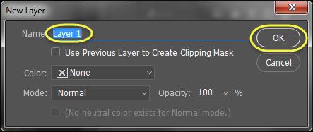 On the New Layer window, provide a name for the new layer in the Name textbox. then click on the OK button to create the new layer within the Layers Panel.
