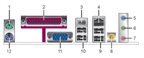 This port allows connection to a Local Area Network (LAN) through a network hub. 5 - Line In port (light blue). This port connects a tape, CD, DVD player or other audio sources.