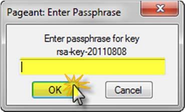 Once the shortcut is in place, double click it to test it. A small passphrase box will display.