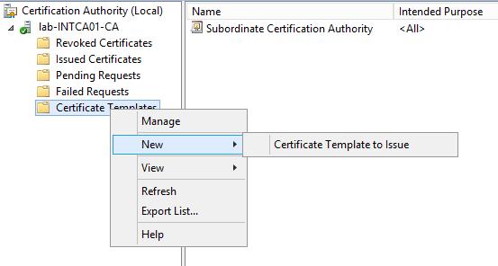 Often web sites do not use the name of the server and therefore the requestor must submit the name. Ensure that CA certificate manager approval is required (Issuance Requirements Tab).
