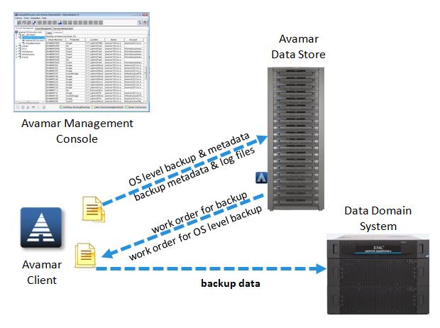 Introduction Figure 1 Avamar and Data Domain system workflow When you select an Avamar server as the backup target, the Avamar client on each host performs deduplication segment processing.