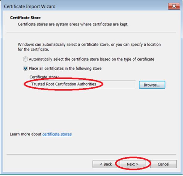 In the Completing the Certificate Import Wizard window,
