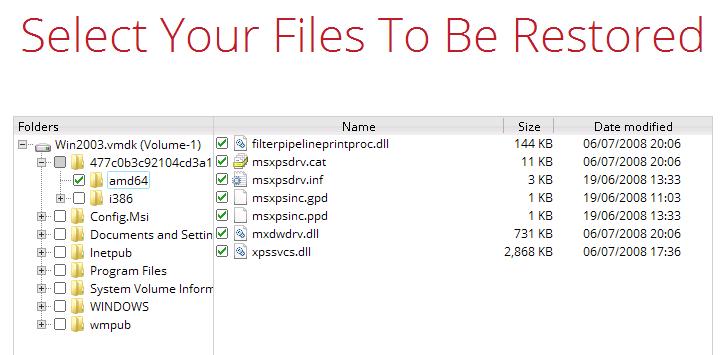 You will then see a file explorer menu as shown below. Select the file(s) you wish to restore, then click Next to proceed. Note Some system folder(s) / file(s) (e.g.