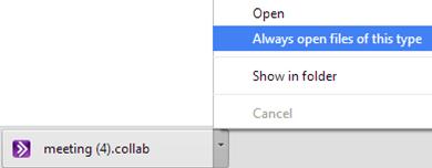 Chrome presents you with the file at the bottom of your browser window. Click on the file name.