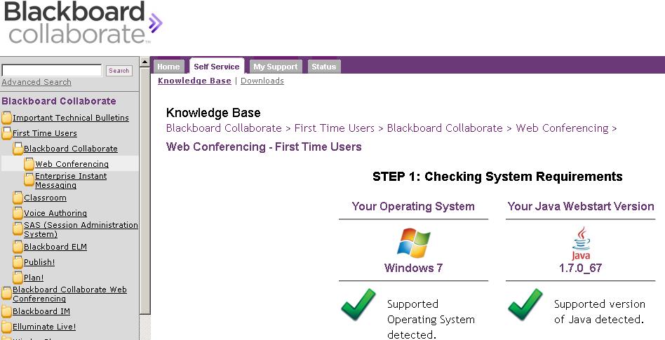 Check that your system is compatible with Web Conferencing.