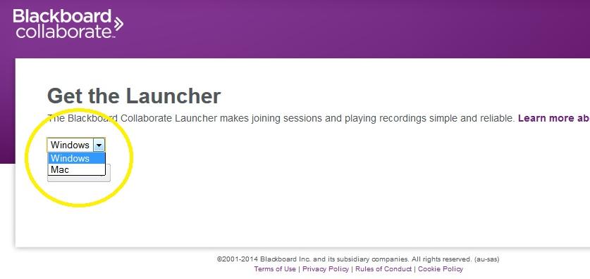 Installing the Launcher on Windows Once the download has finished run the Blackboard Collaborate Setup Wizard.