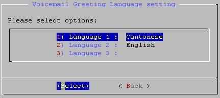 5.1.2.5 Voicemail Greeting Select the greeting language of voicemail prompt. Voicemail greeting will play in the order of Language 1, then Language 2 and then Language 3.