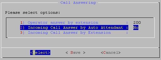 Outgoing The number format for outgoing call. e.g. '9' means dial '9' for outgoing call. 5.4 Call Answering Call Answering set the operator and incoming call answering extension.