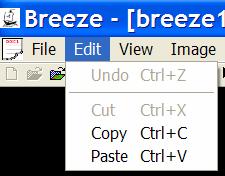 Breeze menus Breeze User Guide Edit menu commands Undo/Can't Undo command Use this command to reverse the last editing action, if possible.