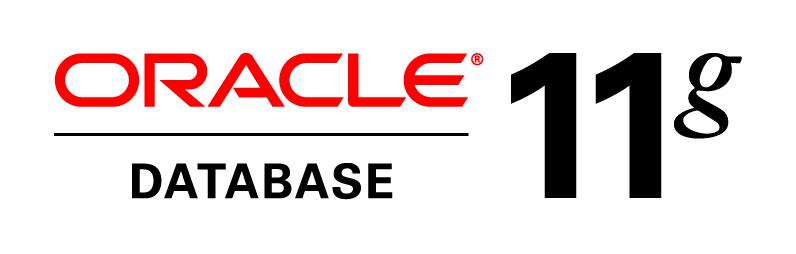 An Oracle White Paper August 2010 Building