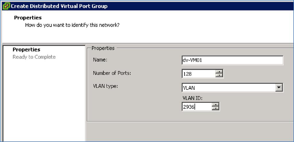 What is a Distributed Virtual Port Group?