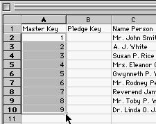 Notice that numbers have been assigned to each record. Step I: Create Keys for First Pledge Repeat Step H for the second column of data.