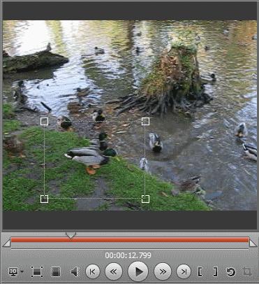 In Movavi Video Editor you can crop the video picture.